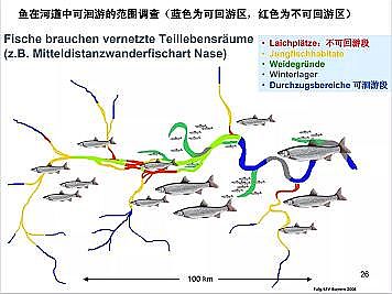 �Ϻ�ʯӢɰ�V�ϏS�ҵ�(gu��)�ӵ��Ľ���Ȼ�ޏ�(f��)��(sh��)�`