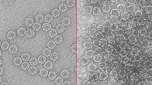 �ϵ���������������MBBR���a�S�ҰѲ��������ڡ��u�@����¼��g��ˮ����֮ǰ�Ϳɷ�ֹ��ԭ�w����