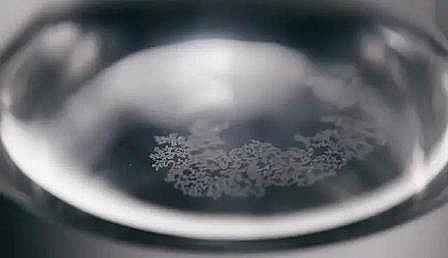 �ϺÞV�Ϻ��d�F���a�S�Ұ�ɫƯ���������