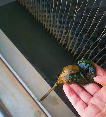 ��Ʒ�|��������Ƭ�S�Ҕ�������ѭ�hˮϵ�y��ؓ���\�м�ͣ�C����Ҫ�c