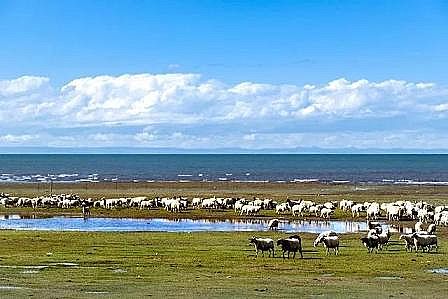 �Ϻ��w�S��V�ϏS��ؔ�������_2022��ˮ��Ⱦ�����Y���A�㣬͸¶��ʲô��̖?