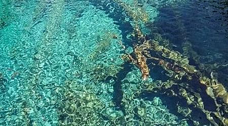 �ϵ���ˮñ���a�S�Ҹ�؛ | ˮ�|��ô���?