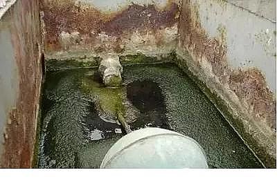 �����w�S��V�����a�S�ҺΞ顰���ι�ˮ��?