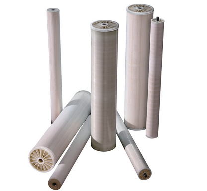 2022�ꇊ�F����ۺ������FSPFS���a�S�Ҽ{�V�ճ��S�oע�����