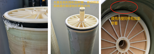 2022�ꇊ�F����ۺ������FSPFS���a�S�Ҽ{�V�ճ��S�oע�����