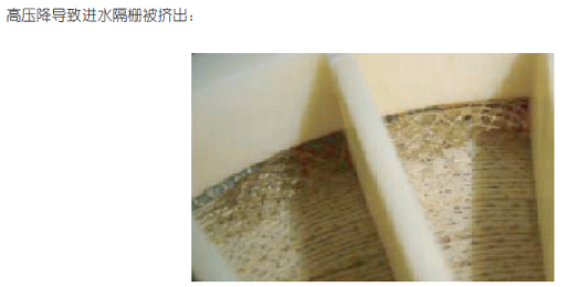 2022�ꇊ�F����ۺ������FSPFS���a�S�Ҽ{�V�ճ��S�oע�����