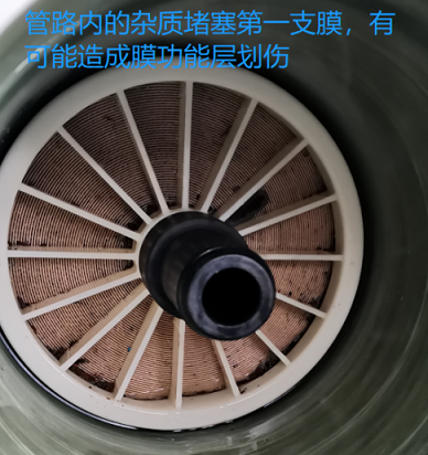 2022�ꇊ�F����ۺ������FSPFS���a�S�Ҽ{�V�ճ��S�oע�����