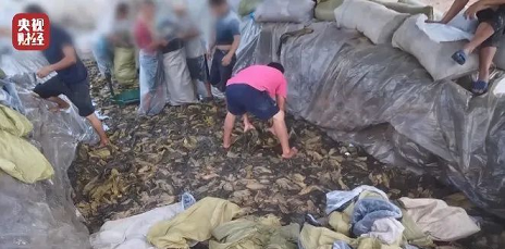 2022��M�����ϏS�ҿ������_�ȳ������ω���ˣ��ɭh���Ͳ��ɭh���Ķ���Ĭ��