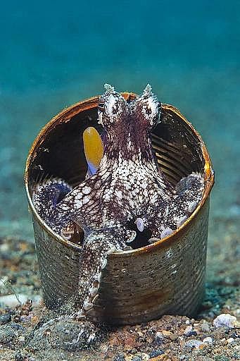 2022��Һ�渲�w��S���@�������������������׌���_����!