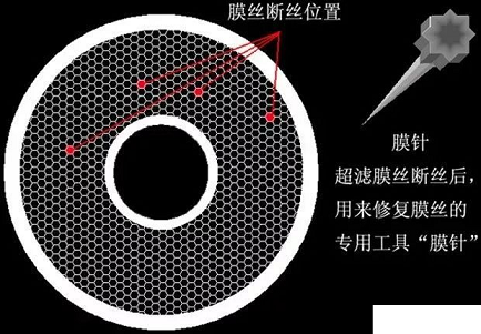 2022��V�Ϻ��d�F�S�ҳ��VĤ�۶µ�ԭ���Լ���ϵ�y��ɵ�Σ��