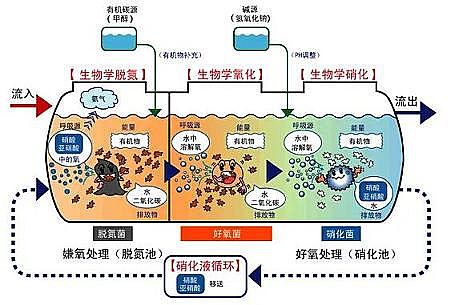 �ۺ������FSPFS���ׄ��S��Ͷ���ķNˎ������,׌�����һ��������Ó������ϵ�y